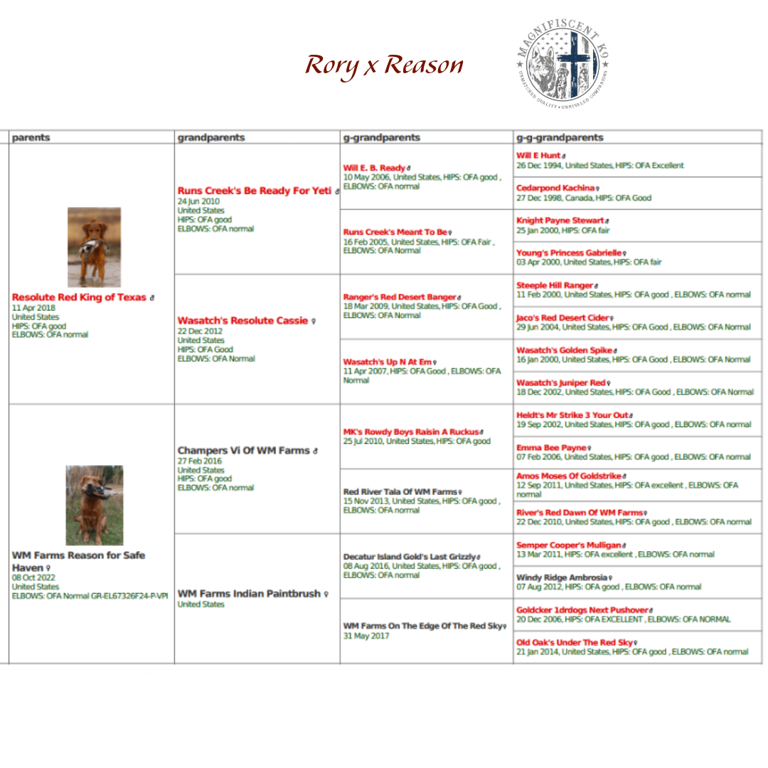 advert_image17bf634a-4e2f-435a-8b81-df0820cd8320.png