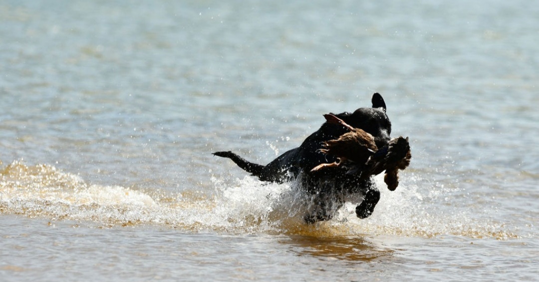 advert_image8a1cd410-f412-498b-8f81-a46b09c9cb8c.jpg