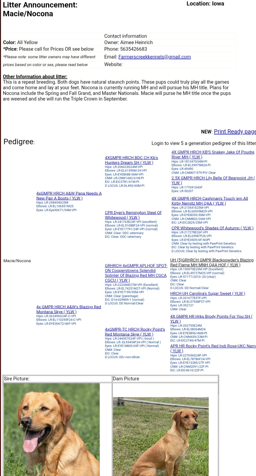 advert_imagebf7198f4-56d7-48c0-b113-8b754719058a.jpg